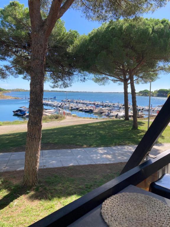 Vue Lac Ponant Piscine Parking Clim 4 Pers