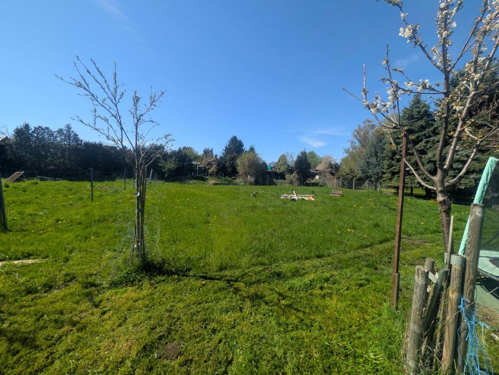 a field with a fence and animals in the distance at Natur Camping Rabu in Radeburg