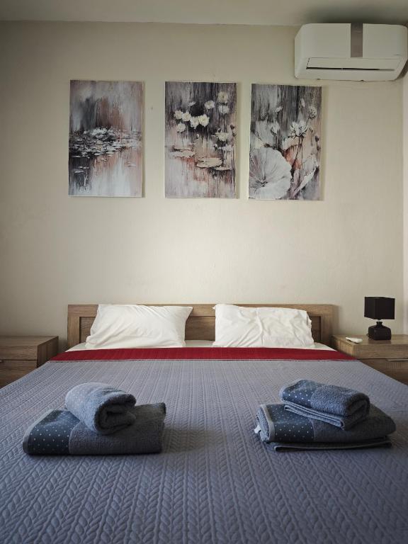 a bedroom with a bed with two towels on it at Elina House in Nikiti