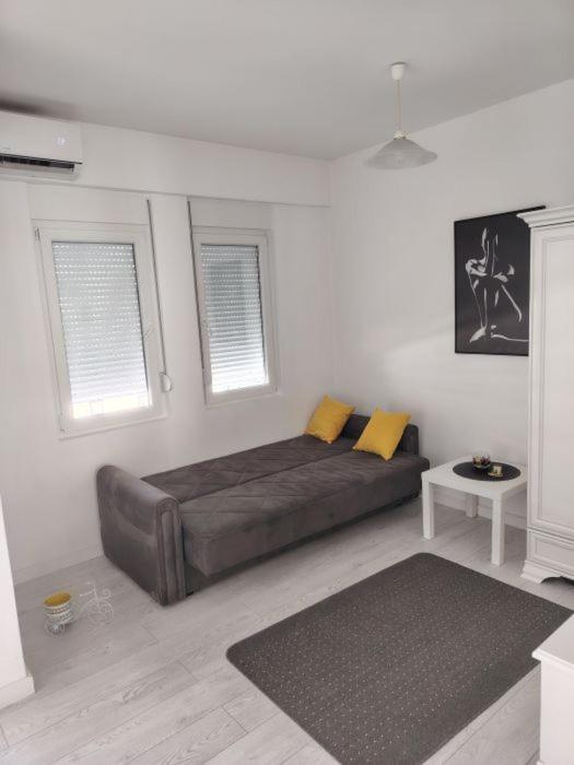 a large bed in a white room with two windows at Tanja Apartment in Podgorica