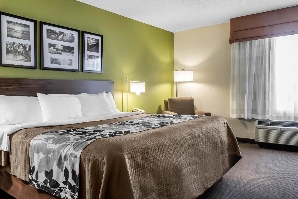 Sleep Inn & Suites Dothan North - Zimmer Mit Kingsize-Bett