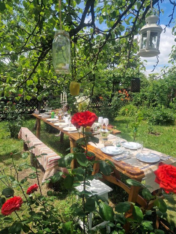 a wooden table in a garden with red roses at Casa Cuca Macai in Lăunele