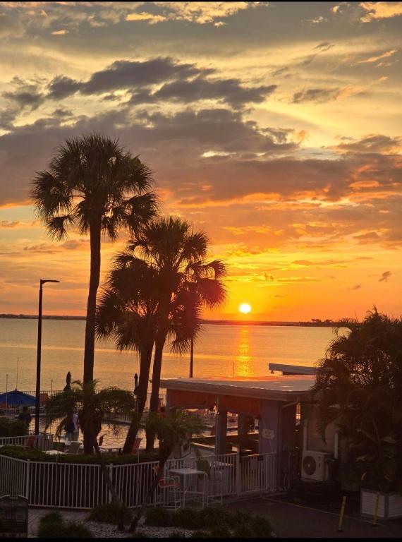 a sunset over the water with palm trees and a building at This could be your view every night of your stay!! Cozy, comfy remodeled condo! in Tampa