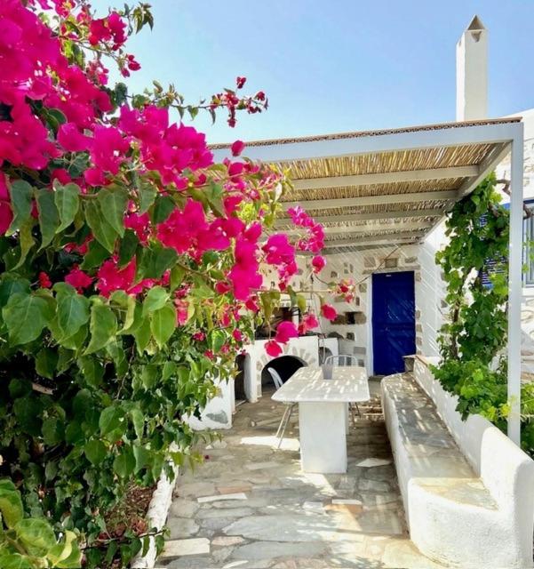 a garden with pink flowers and a bench at Villa Ambelas - Traditional House in Ambelas