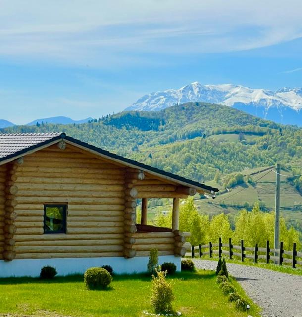 a log cabin with mountains in the background at Sub Stele Chalets in Holbav