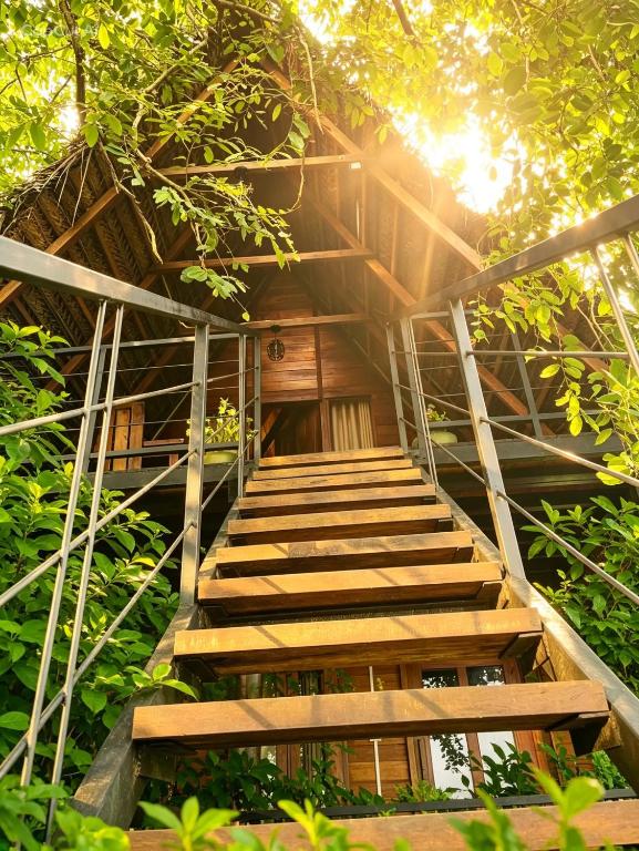 a set of stairs leading up to a tree house at Habarana Tree House - Ivory cottage in Habarana