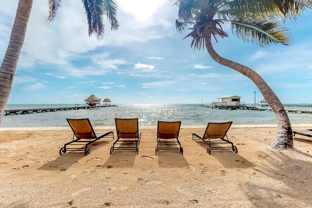 four chairs on a beach with palm trees and the ocean at Palm @ Caribe Island in San Pedro