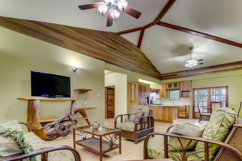 a living room filled with furniture and a flat screen tv at Suite at Villa Maya -Gold Standard and Certified in San Ignacio