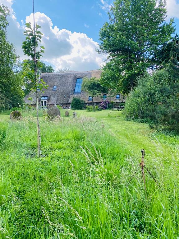 a field of tall grass with a building in the background at 't Hof van Wespert in Westdorp