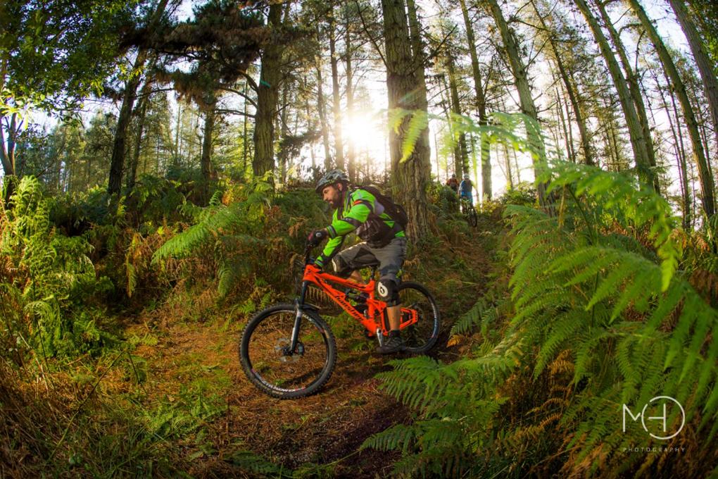 a man riding a bike on a trail in a forest at El Pez Escorpion in Salinas