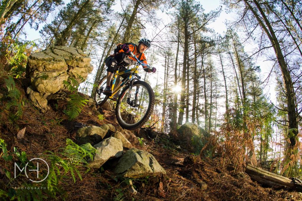 a man riding a bike on a trail in the woods at El Pez Escorpion in Salinas