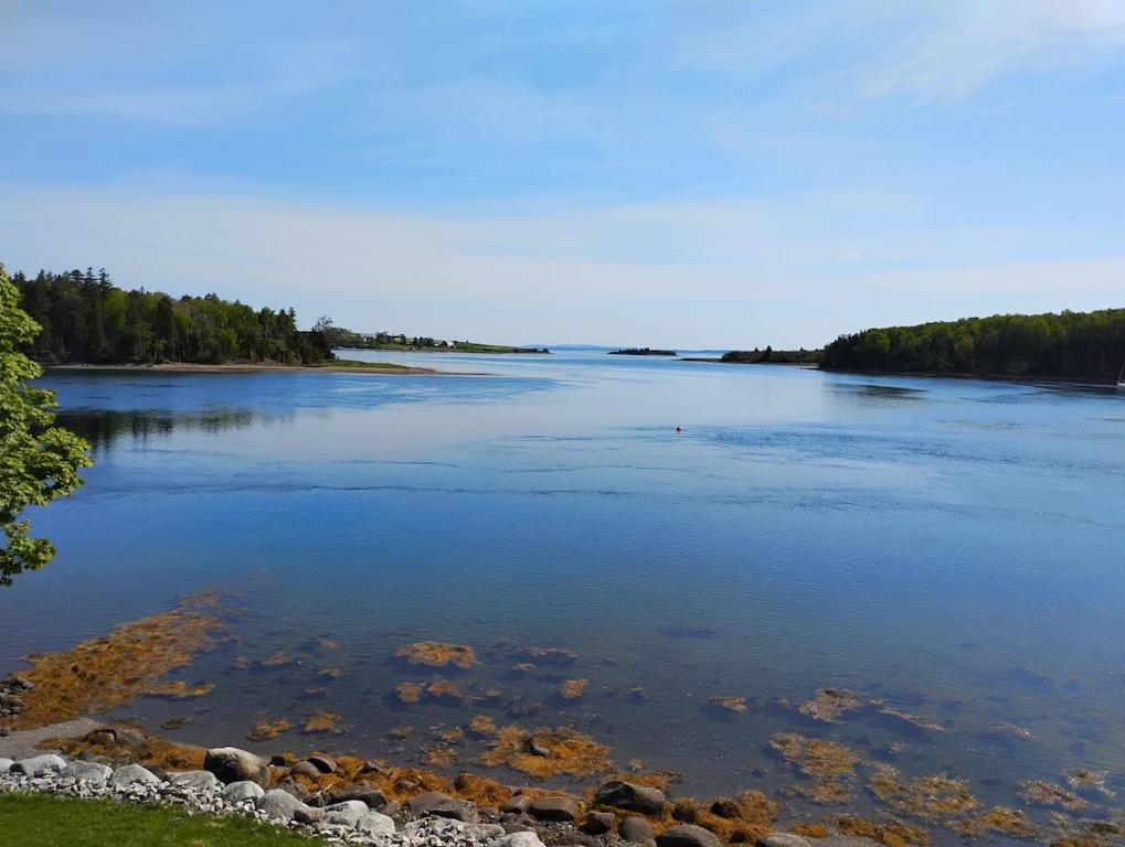 a large body of water with trees in the background at On Da Water in Lunenburg