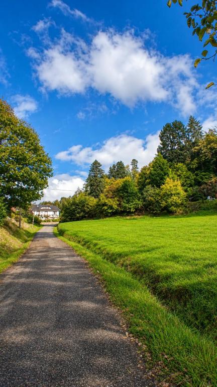 a road leading into a grassy field with a blue sky at Les2Châteaux in Windstein