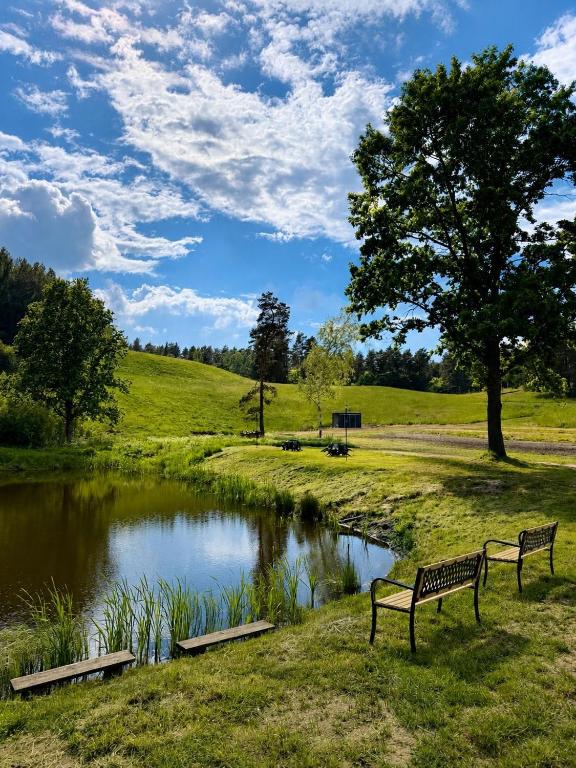 two benches sitting next to a pond in a park at Dolina snów in Kruklanki