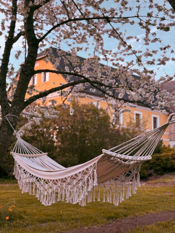 a hammock hanging from a tree in a yard at Farma P&P Apartmány in Vrchovany