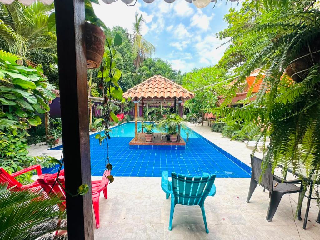 a swimming pool with a gazebo and a blue tile floor at Hostal Hilltop Palomino in Palomino