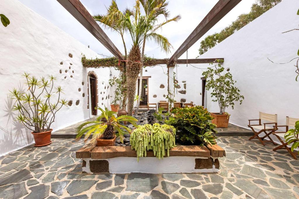 un patio con plantas en macetas en un edificio blanco en Villa Muller by Bayside - The Fountain of Silence, en Tías