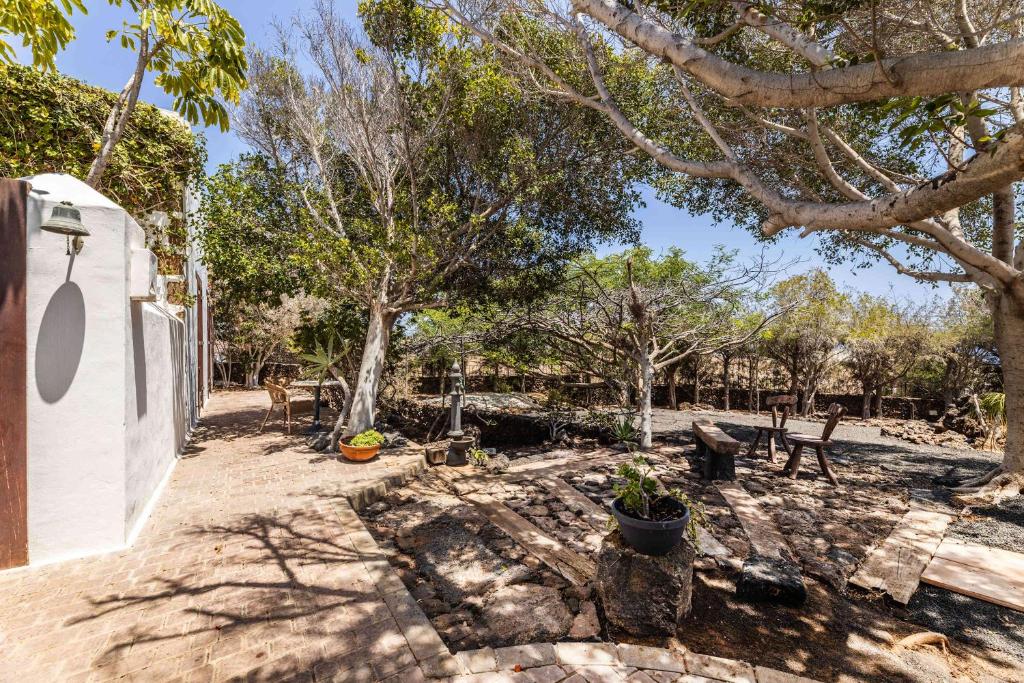 Jardín al aire libre en Villa Muller by Bayside - The Fountain of Silence