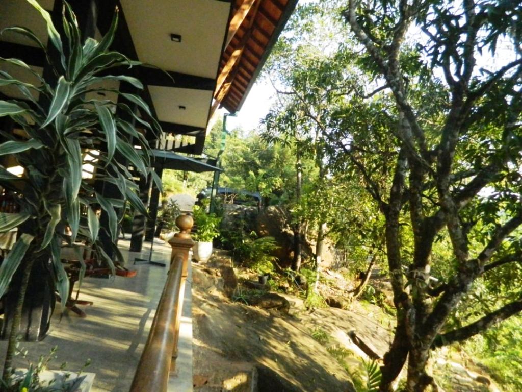 Zahrada ubytování Birds Paradise Hotel