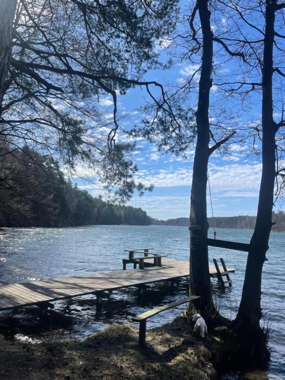 a picnic table and bench on a dock on a lake at Leśna Sonata in Marksoby