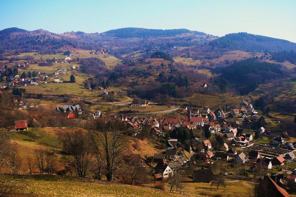 Příroda nedaleko hotelu