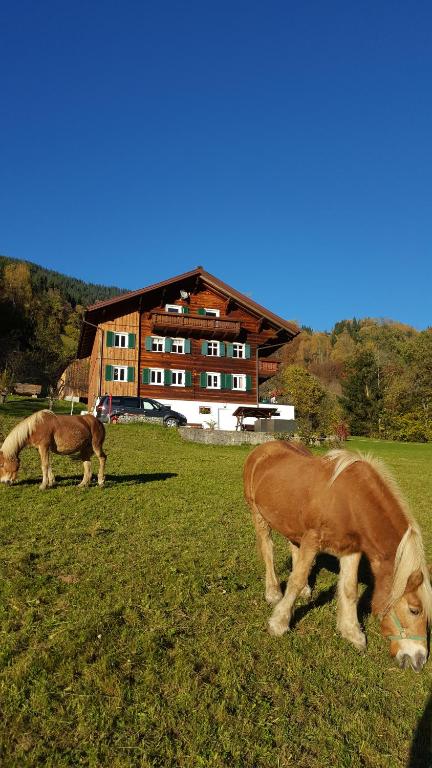 dwa konie pasące się na polu przed budynkiem w obiekcie Haus Silke w mieście Silbertal