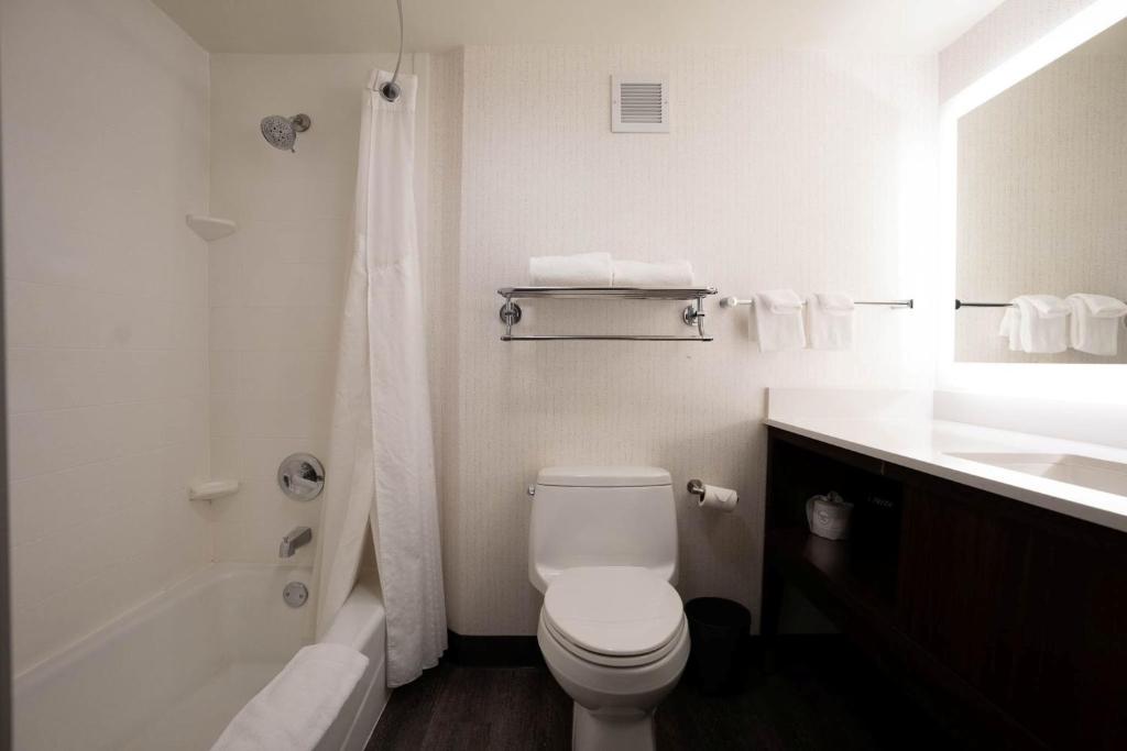 Holiday Inn Grand Rapids Downtown, an IHG Hotel - 