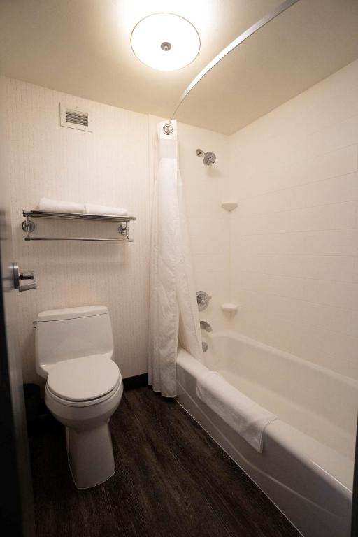 Holiday Inn Grand Rapids Downtown, an IHG Hotel - 