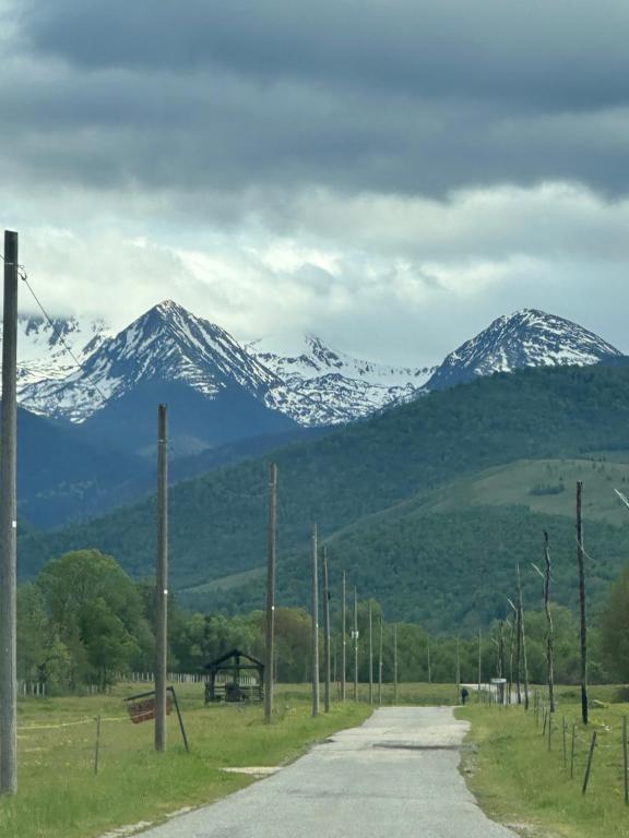 a road with snow capped mountains in the distance at Casa Dani in Sibişel