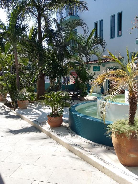 um pátio com palmeiras e uma piscina em Delphinus Inn em Santa Cruz, Huatulco