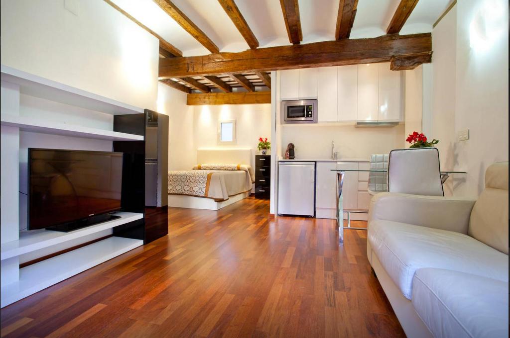 バレンシアにあるSun Studio Valenciaのリビングルーム(ソファ、テレビ付)、キッチン