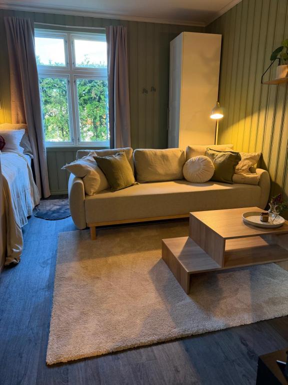 a living room with a couch and a bed at Central Studio apartment in Notodden