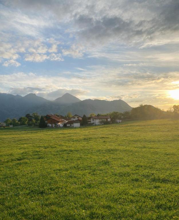 a green field with houses and mountains in the background at Bachwagnerhof in Staudach-Egerndach