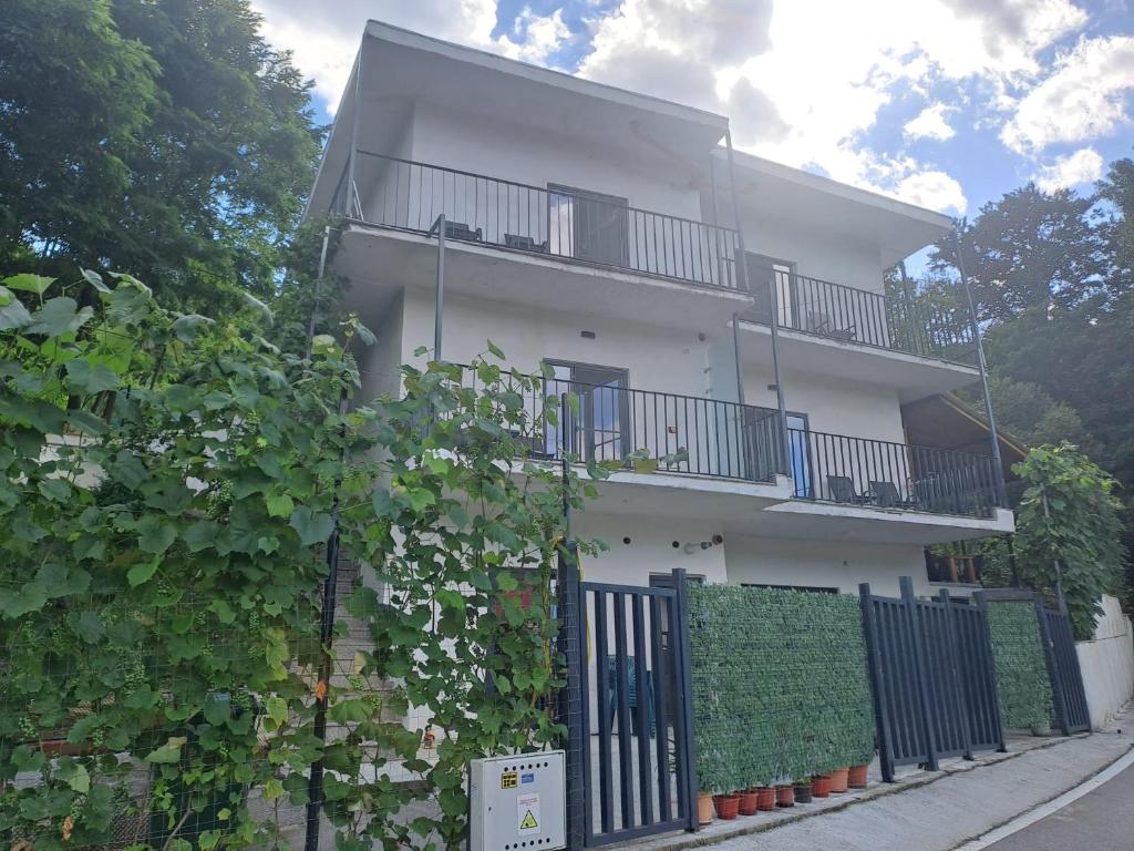a white building with a fence in front of it at Casa Stejaru in Băile Govora