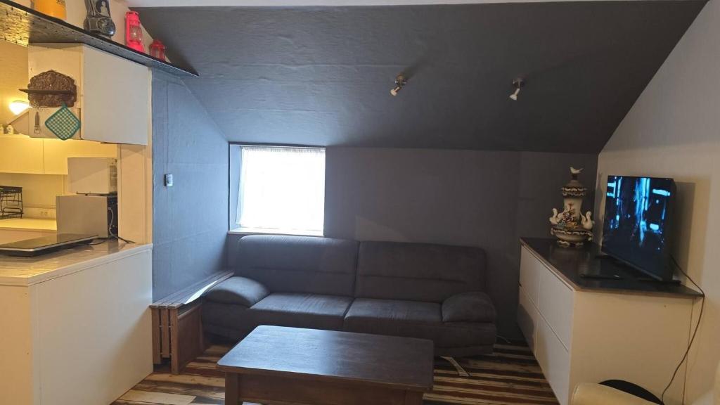 a living room with a couch and a table at zeer ruim appartement in Zottegem