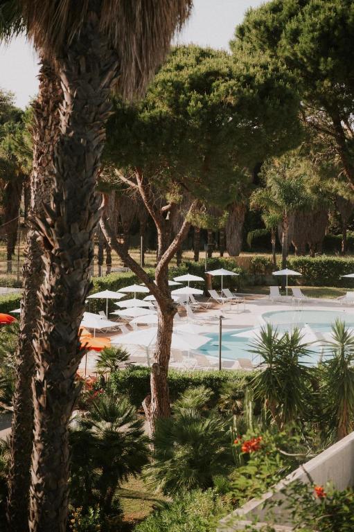 a palm tree next to a swimming pool with umbrellas at Tursport in Taranto