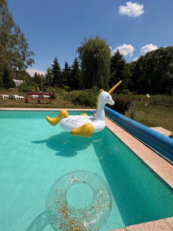 a pool with a inflatable duck in a swimming pool at Palócliget Vendégház in Kétbodony