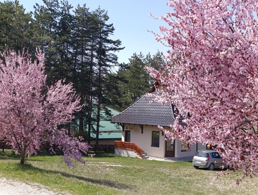 a house with pink flowering trees in front of it at Kuća za odmor Lavanda in Sirogojno