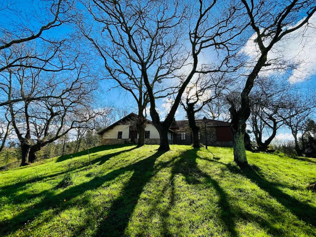 a group of trees in a field with a house at Sallobante Aterpetxea - Casa in Mechicas