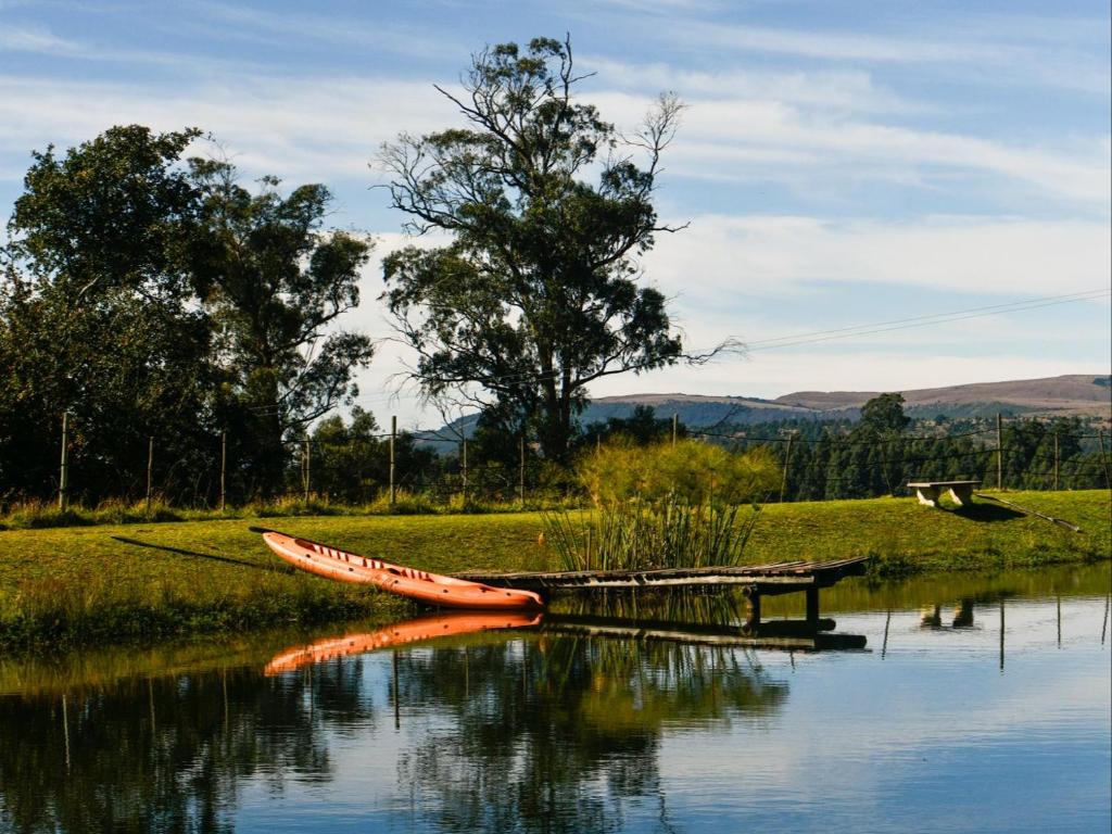 a canoe sitting on the side of a lake at Mount Park Guest Farm in Dargle