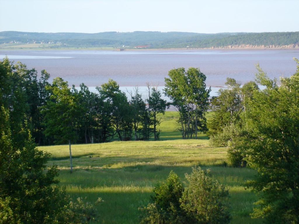 a view of the lake from the house at The Artisan Suites in Hopewell Cape