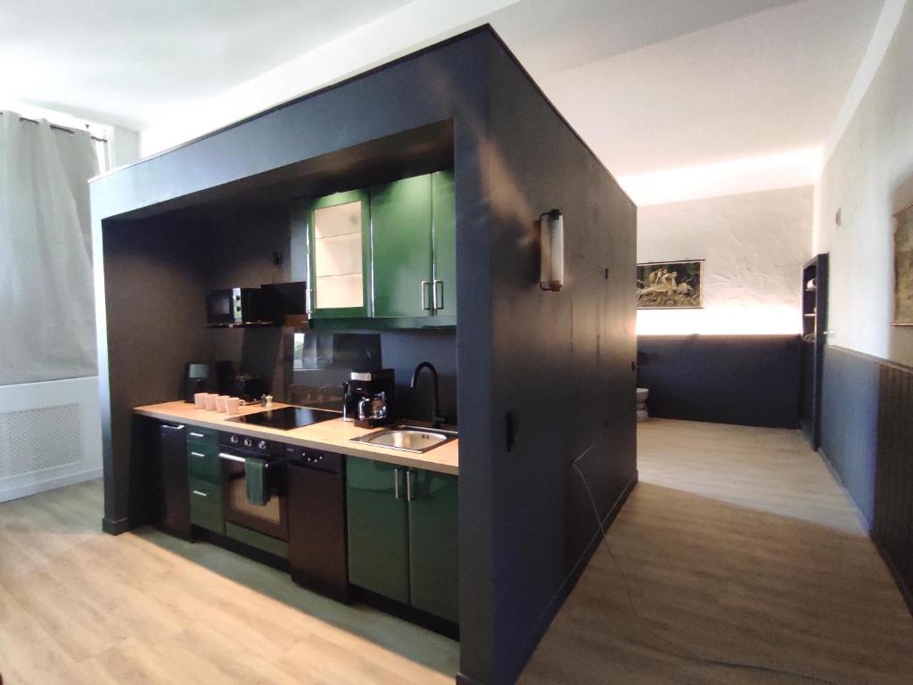 a kitchen with green cabinets and a black wall at Alte Schule Gästehaus - Klassenzimmer Loft in Bitburg