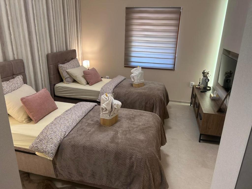 a hotel room with two beds and a couch at Apartman Aleksandra 2 in Bečej