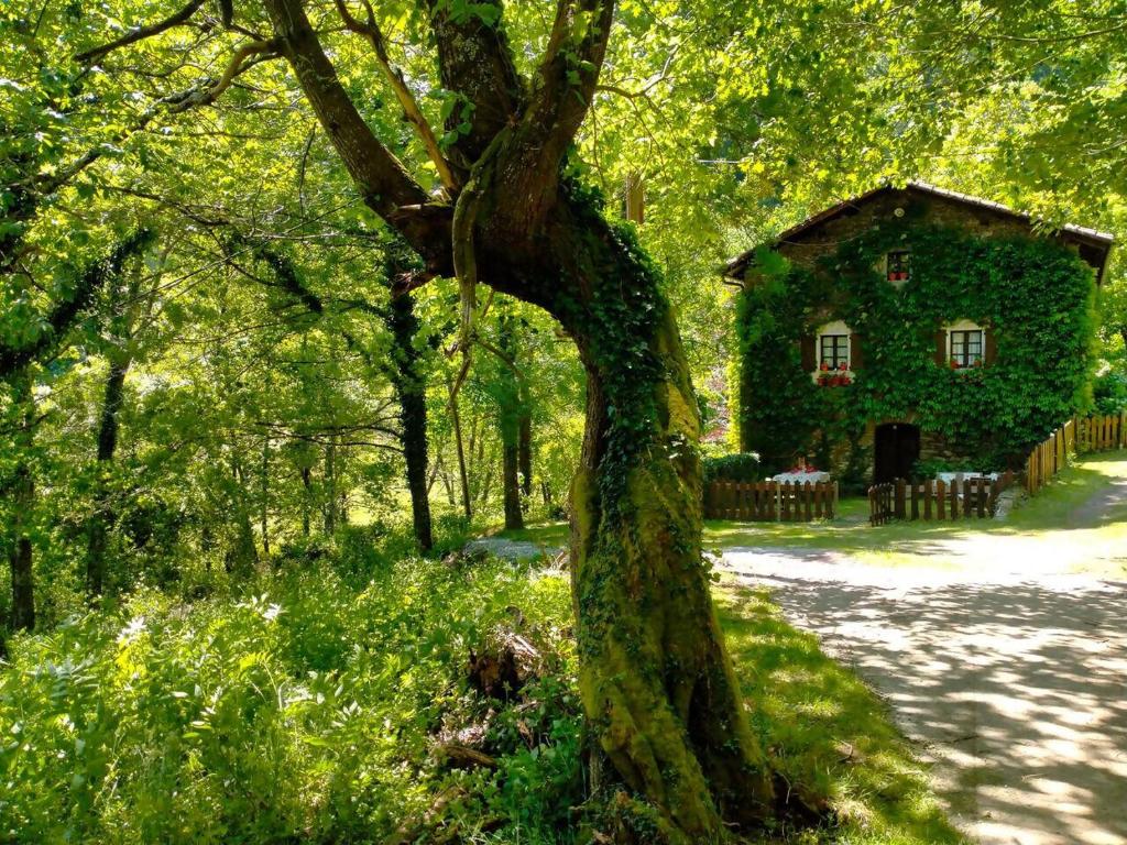 a tree in front of a house in the woods at Casa rural Garata in Arantza