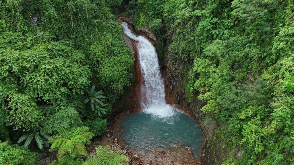 an aerial view of a waterfall in a forest at Pulangbato Falls Mountain Resort in Dumaguete