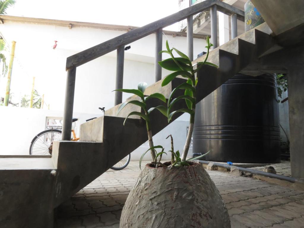 Mountain Wave Hotel and Surfshop - 4