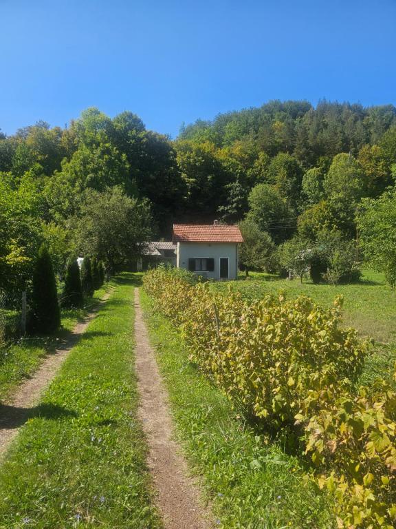 a path leading to a house in a field with trees at Srce Prirode in Pljevlja