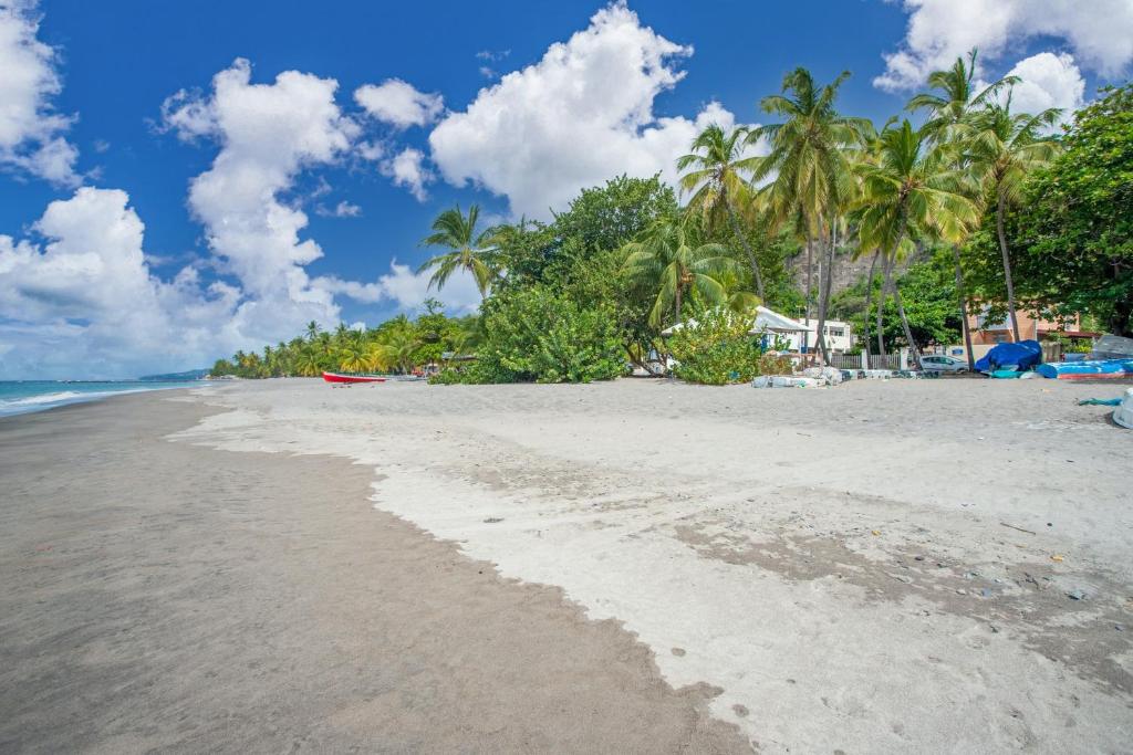 a sandy beach with palm trees and the ocean at Appartement charmant au Carbet avec vue sur la mer - 50 m² in Le Carbet