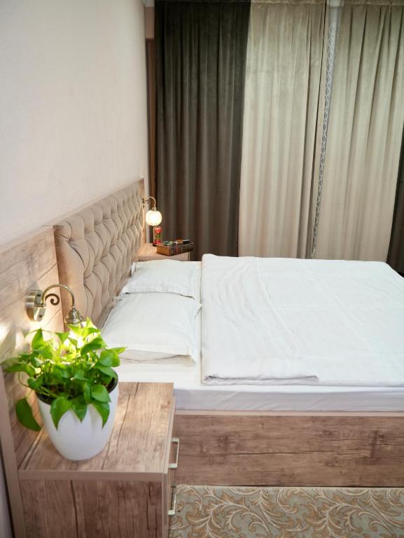 a bedroom with a bed and a table with a plant at Dream Inn H&A in Tashkent