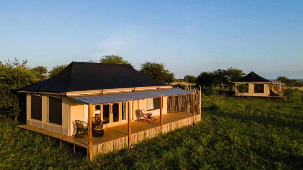 a house with a black roof in a field at Bushland Luxury Camp in Serengeti